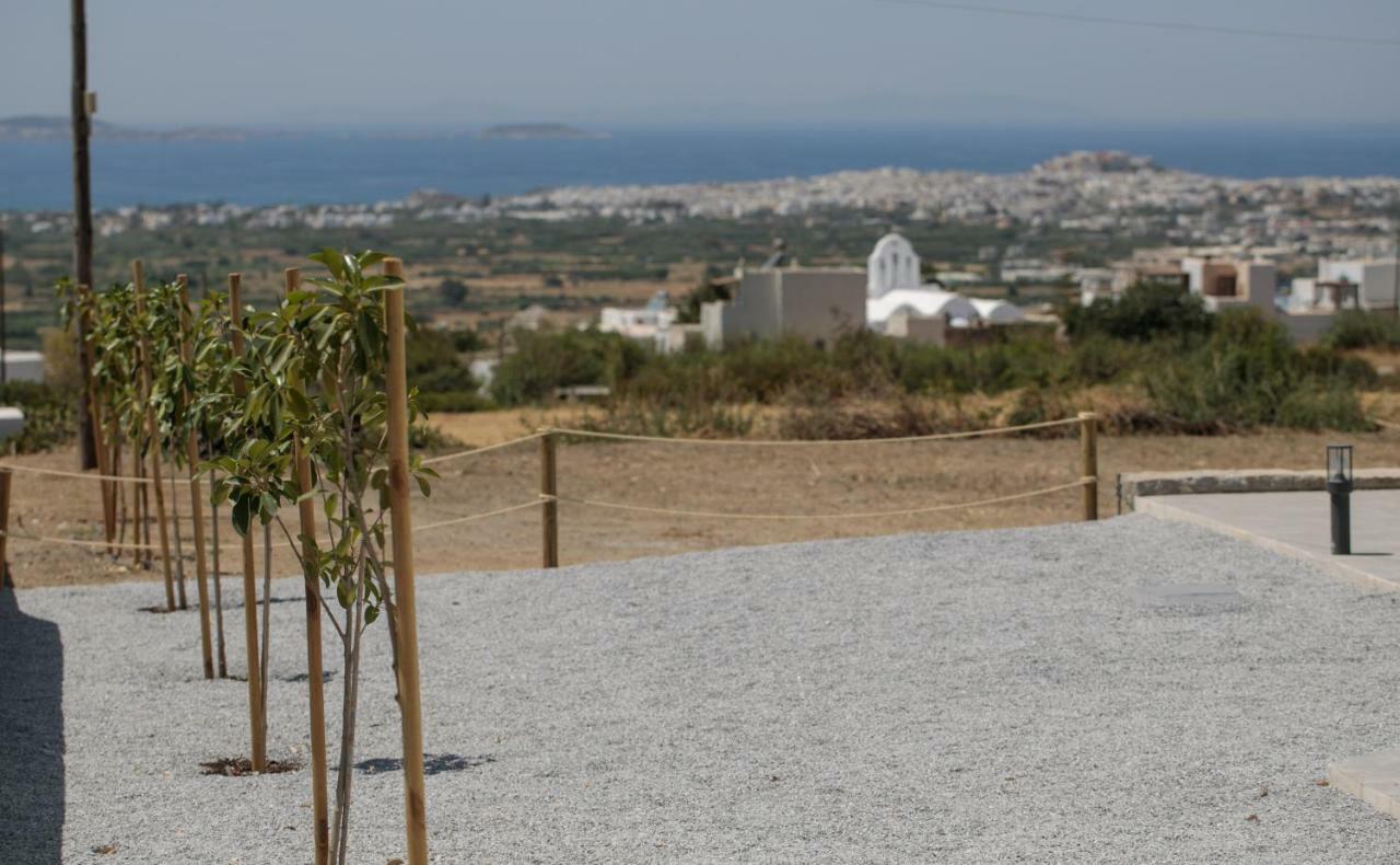 Naxos Infinity Villa And Suites Galanado 外观 照片